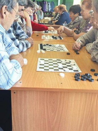 Турнир по шашкам